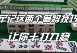临高麻将技巧教学直播的简单介绍