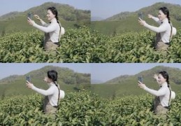 包含美女直播技巧风景的词条