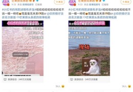 小红书快速发布产品上热门的秘诀