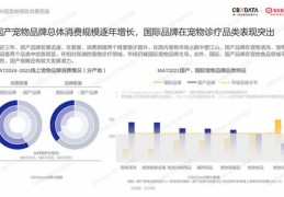 关于奇石直播营销技巧论文的信息