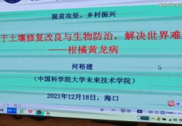 三农领域创作者如何抓住热门话题，申请策略与技巧解析