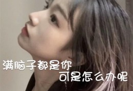 七天攻略，抖音上热门涨粉丝秘诀，轻松打造热门账号！