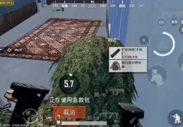 直播刺激战场的方法技巧,直播刺激战场的方法技巧是什么