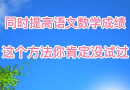 阅读语文的技巧和方法直播,语文阅读技巧视频