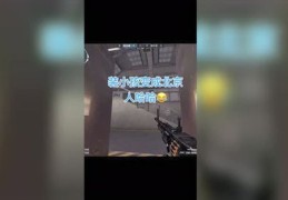 直播镜头反转技巧视频,直播反镜头的怎么调整