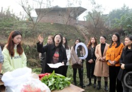 乡村直播技巧,乡村直播网红有哪些