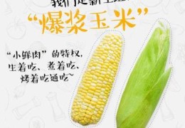 水果玉米带货直播话术技巧,直播卖玉米文案