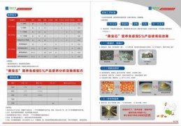 如何助力朋友成为热门话题焦点，实用方法与建议