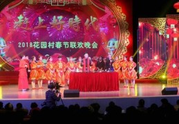 春节晚会直播技巧,看春节直播晚会
