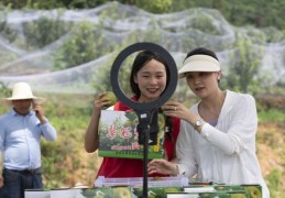 农民直播技巧详解，视频教程与播放指南