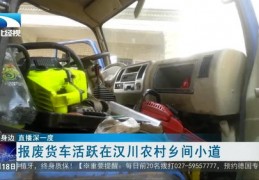 货车直播技巧,货车司机直播