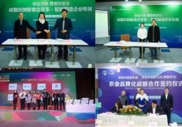 郫都区百度关键词快速优化,郫都区在线