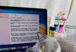 如何做直播话术技巧,如何做直播话术技巧和方法