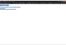 Tiktok如何突破限流，上热门秘籍揭秘