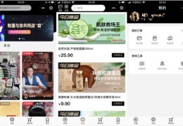 电商直播卖货技巧详解与盈利之道，视频讲解指南