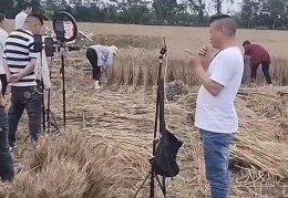 收割机直播技巧,收割机视频播放