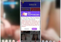 龙珠直播转型，揭秘直播技巧与策略
