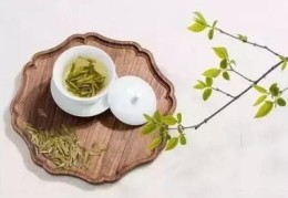 直播减肥开场话术技巧,减肥直播文案