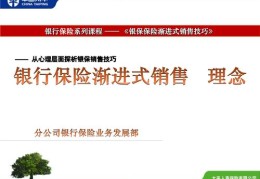 直播保险营销技巧详解，方法与策略探讨