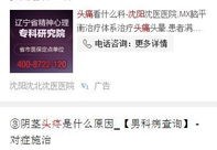 神马搜索引擎怎么样好用吗,神马搜索引擎手机版官网