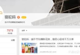 上海高玩seo,上海高端seo公司