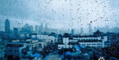 下雨天怎么拍摄照片教程