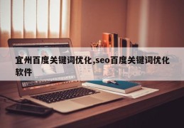 宜州百度关键词优化,seo百度关键词优化软件