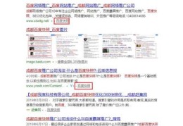 百度推广关键词优化咋样,百度推广关键词是什么意思
