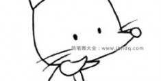 小狐狸怎么拍摄视频教程