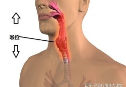 嗓子发音技巧直播,嗓子怎么发音好听