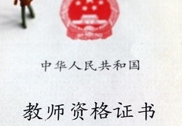 社会现象揭秘，如何成为热门焦点