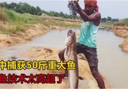 河边捕鱼技巧直播,阿联酋布扎比