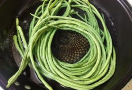 教做菜的主播直播技巧，专业厨师分享烹饪秘籍