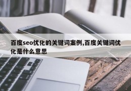 百度seo优化的关键词案例,百度关键词优化是什么意思