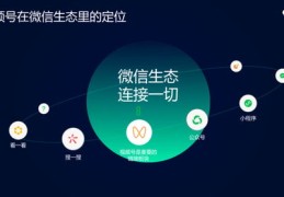 直播挂录像技巧,直播挂录像技巧有哪些