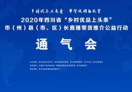 头条直播带货技巧,头条如何直播带货