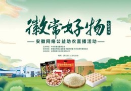聚星直播技巧,聚星直播提成是多少