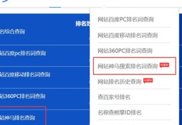 百度seo关键词优化排行榜最新,百度关键词优化软件排名