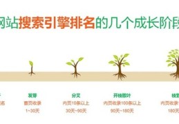 深圳优化怎么做搜索,深圳优化网站公司