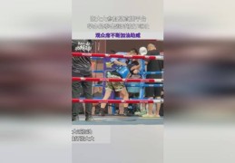 直播拳击比赛技巧,现场直播拳击比赛