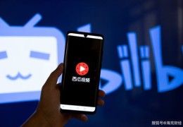 西瓜视频上热门策略与粉丝增长技巧